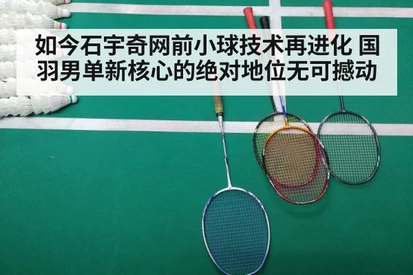 badminton match