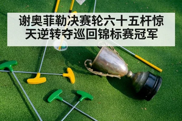谢奥菲勒决赛轮六十五杆惊天逆转夺巡回锦标赛冠军